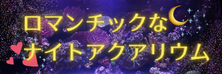 ナイトアクアリウムのバナー