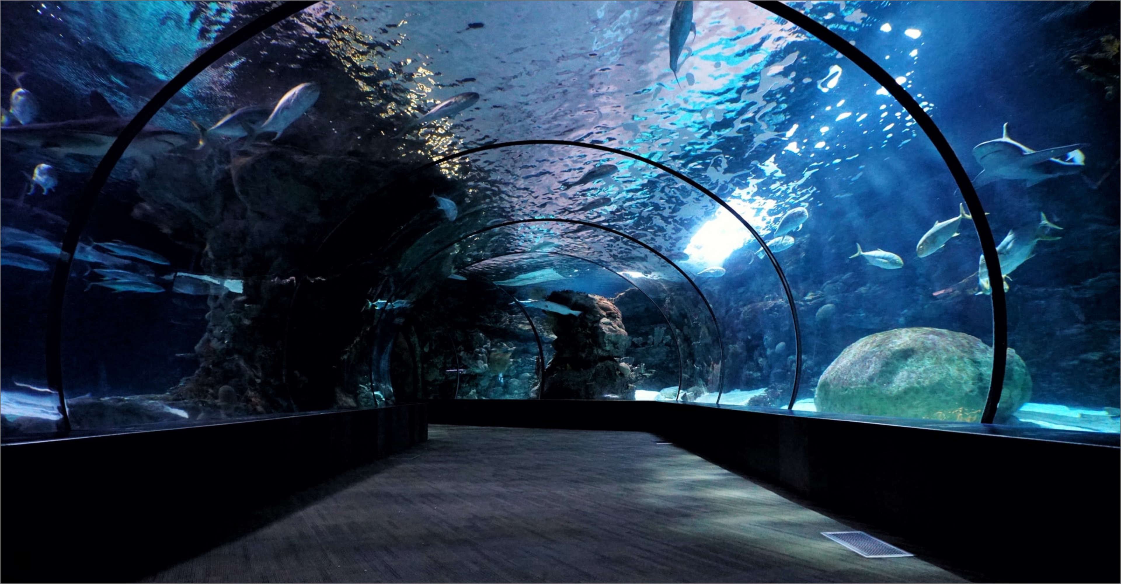 水族館のトンネル